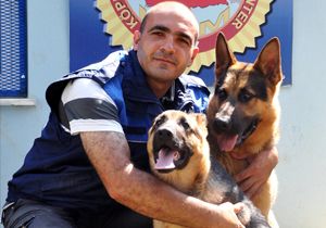 Bomba uzmanı köpeğe 'şark tayini'