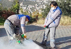 Vektörel mücadele için 64 milyon harcandı