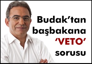 Çetin Osman Budak soruyor