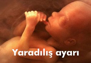 Yaradılış ayarı