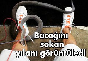 Bacağını sokan yılana görüntüledi