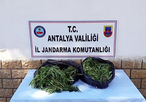 10.8 kilo esrar ele geçirildi