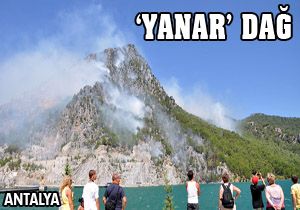 Yıldırım ormanı yaktı