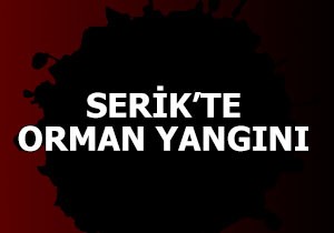 Serik'te orman yangını