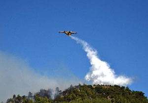 Antalya'da ormanlık alanda yangın