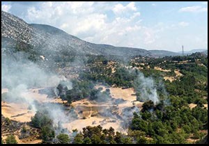 Manavgat'ta orman yangını