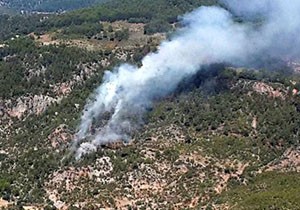 Alanya'da orman yangını