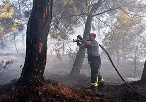 Kampüsteki yangına ilk müdahale öğretim üyelerinden