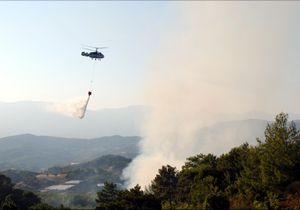 Kumluca'da orman yangını