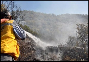 Gazipaşa da orman yangını