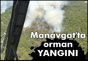 Manavgat'ta orman yangını