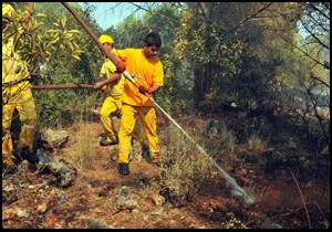 Orman bölge, yangınla savaşa hazır