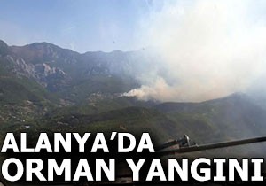 Alanya da orman yangını