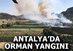 Antalya da orman yangını