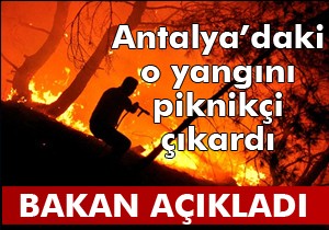 Adrasan yangınını piknikçiler çıkarmış