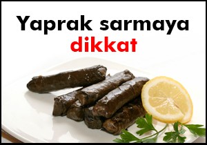 Asma yaprağına dikkat