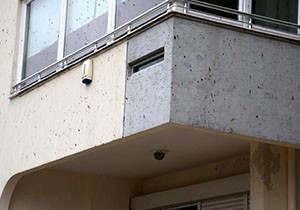 Antalya'da 'yarasa pisliği' mahalleyi ikiye böldü
