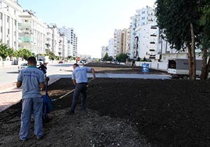 Hurma Mahallesi'nde yeşil bant çalışması