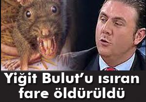 Yiğit Bulut’u ısıran fare öldürüldü