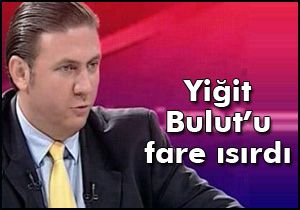 Yiğit Bulut’u fare ısırdı