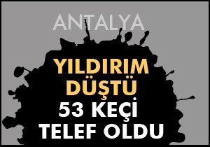 Yıldırım düştü, 53 keçi telef oldu