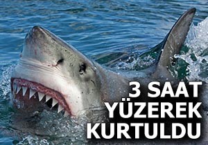 Peşine düşen köpekbalığından 3 saat yüzerek kurtuldu