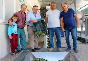 Sezonun ilk zeytinyağı