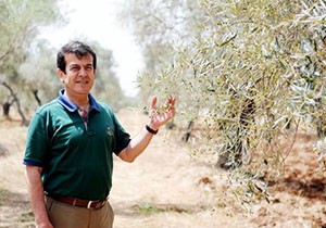 Zeytinpark'ta hasat zamanı