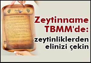 Zeytinname TBMM de: zeytinliklerden elinizi çekin