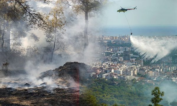 Kepez'de evlere çok yakın bölgede orman yangını çıktı